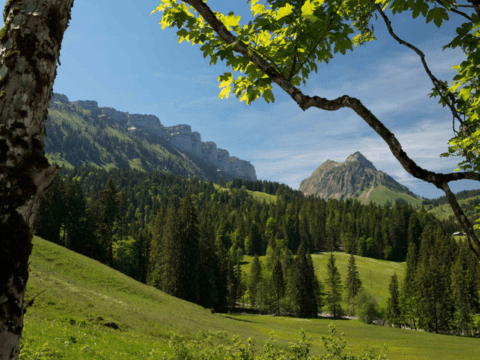 Wandern ab Rotmoos Wandern ab Rotmoos